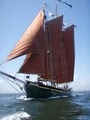 Schooner Inc image 3