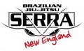 Serra Brazilian Jiu Jitsu/Team Simmler logo