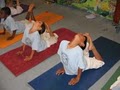 Sivananda Ashram Yoga Farm image 10