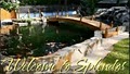 Splendor Koi & Pond: 770 321-Fish image 4