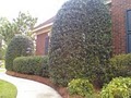 Spring Valley Lawn & Landscaping image 4
