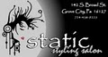 Static Styling Salon logo