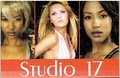 Studio 17 Hair Designs & Day Spa image 2