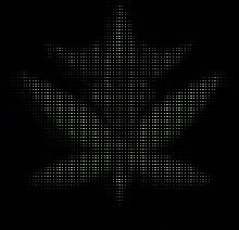 Sun Leaf Medical center NPO logo