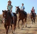 Sunshine & Daydreams Horseback Riding & Horse Sales image 2