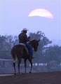 Sunshine & Daydreams Horseback Riding & Horse Sales logo