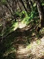 Tassajara Zen Mountain Center image 2