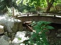 Tassajara Zen Mountain Center image 3