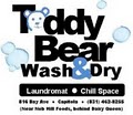 Teddy Bear Wash & Dry logo