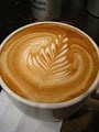 Temple Coffee image 3