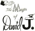 The Magic of David J. ~ That Balloon Guy David J. image 2