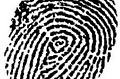 The UPS Store Visalia Live Scan Fingerprinting 6 Days a Wk logo