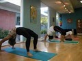 The Yoga Center image 5