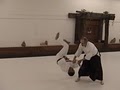 Three Rivers Aikido image 7