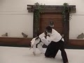 Three Rivers Aikido image 10