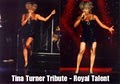 Tina Turner Impersonator logo