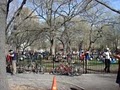 Tompkins Square Park image 1