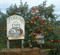 Tougas Family Farm image 3