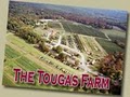 Tougas Family Farm image 5