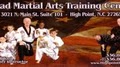 Triad Martial Arts Training logo