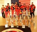 USA Karate image 1