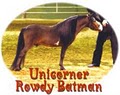 Unicorner Miniature Horse Farm logo