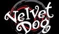 Velvet Dog image 6