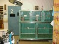 Verde Veterinary Hospital image 1