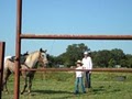 Wandell Equestrian Training image 2