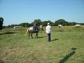 Wandell Equestrian Training image 3