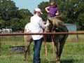 Wandell Equestrian Training image 7