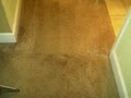 Washington St Carpet Cleaning image 2