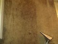 Washington St Carpet Cleaning image 3