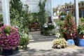 Watters Garden Center image 3