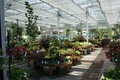 Watters Garden Center image 4