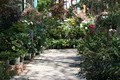 Watters Garden Center image 5