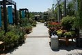 Watters Garden Center image 6