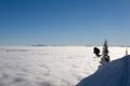 Whitefish Mountain Resort image 10