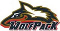 Wisconsin Wolfpack Professional Indoor Football logo