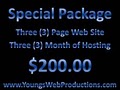 Young's Web Productions, LLC. image 8