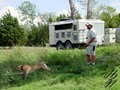 Zion Kennels image 6