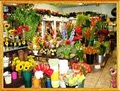 flower shop tribeca image 4