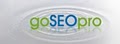 goSEOpro image 2