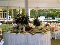 ABC Party Tent Rentals, Inc. image 7