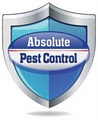 Absolute Pest Control logo