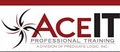 AceIT Professional Training logo