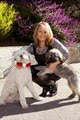 All Fur Love Pet Care - Pet Sitting Services / Dog Watcher / Sitter image 1