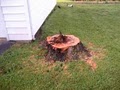 All Stump Removal image 3