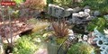 Altgelt & Associates - Landscape Design image 10