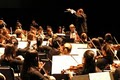 American Youth Philharmonic Orchestras image 1